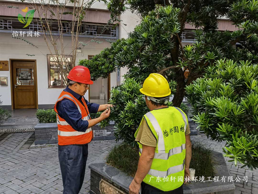 九游娱乐园林绿化公司厂区绿化养护指导工作